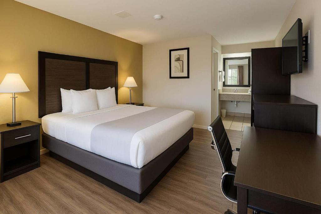 Deluxe King - Photo 2